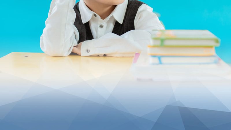 会计培训学校加盟，政策支持背后的考量因素